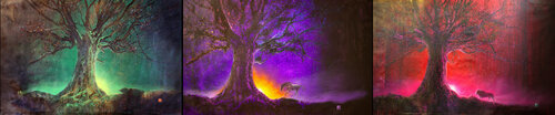 Michael Andrew Law — Evening Tree Triptych — Landscape Paintings