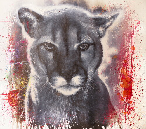 Michael Andrew Law — Untitled ( Smokey the Mountain Lion of David Yarrow ) — Monochrome Canvas Paintings